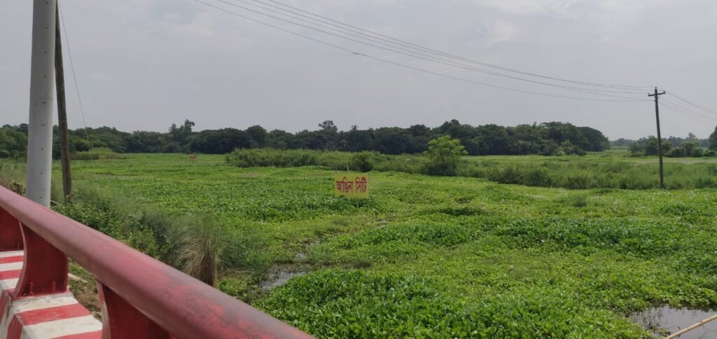 whatsapp image 2025 09 09 at 12.28.32 pm